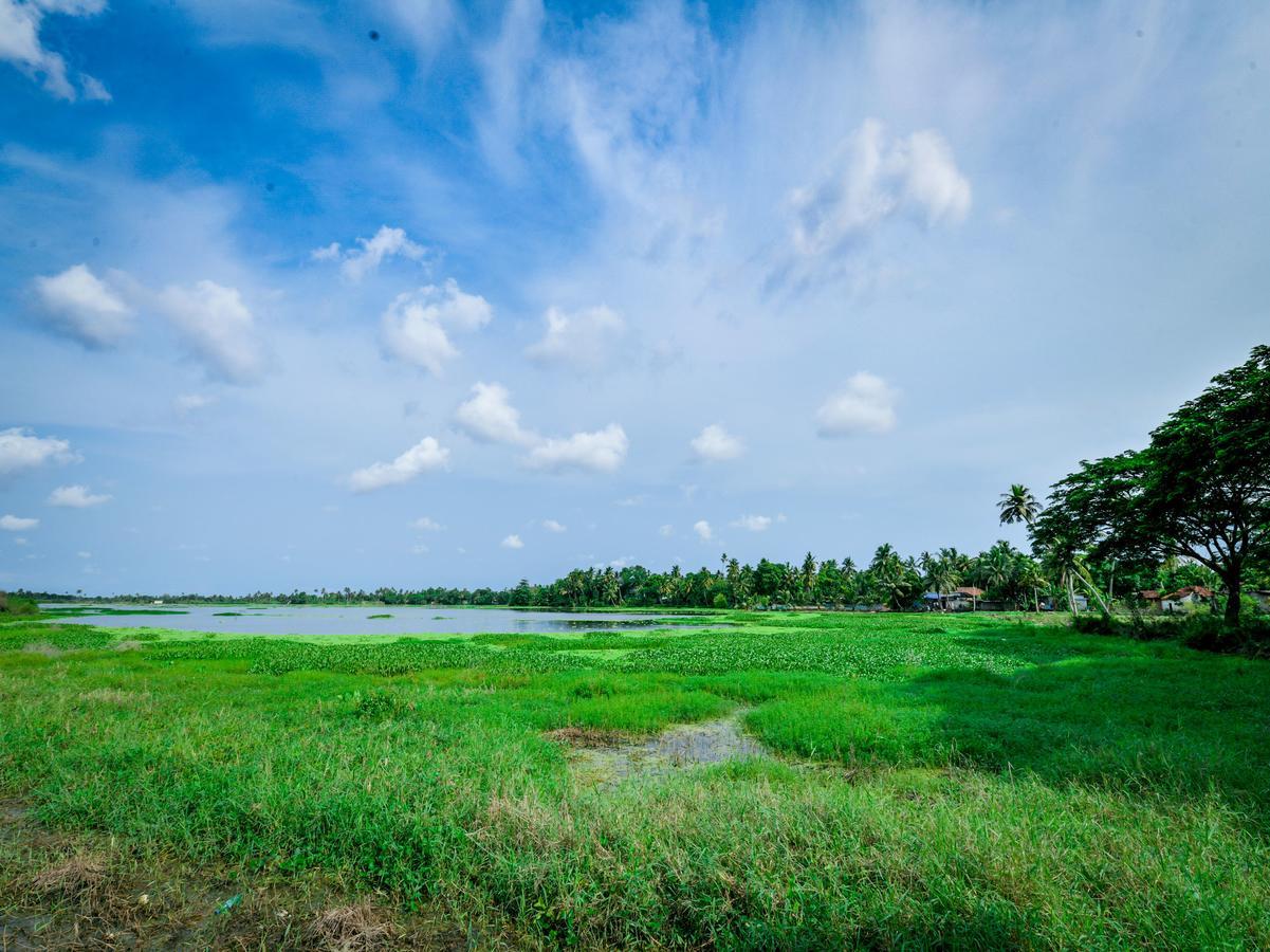 Oyo 14604 Green View Residency Alappuzha Exterior photo